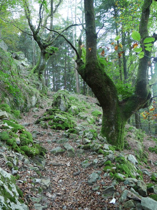 Minetako isurialdeko bidea