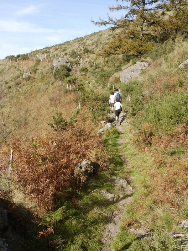 Bidea Aritxulegiko gain aldean