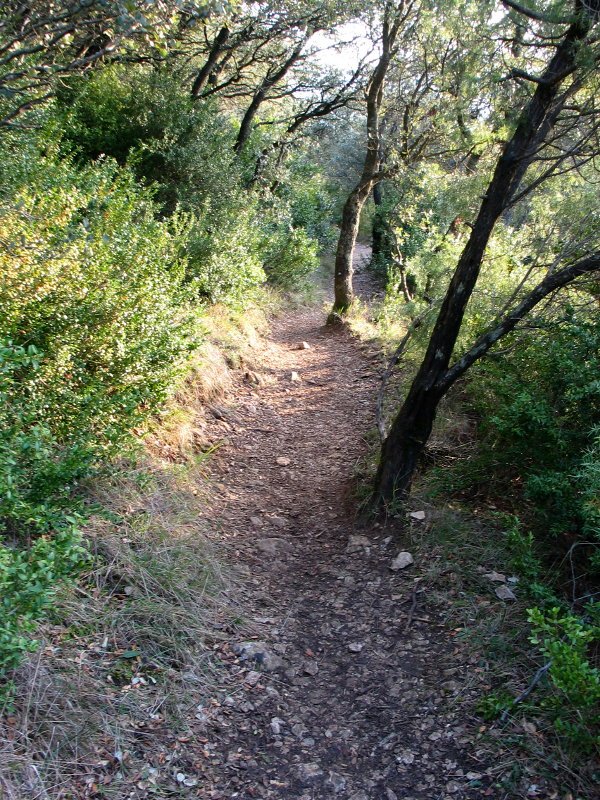 Igoerako bidea, ezpel artetik