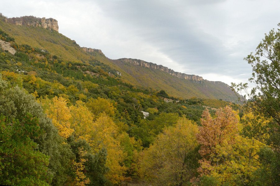 Leireko malkarrak Fayarko bidetik