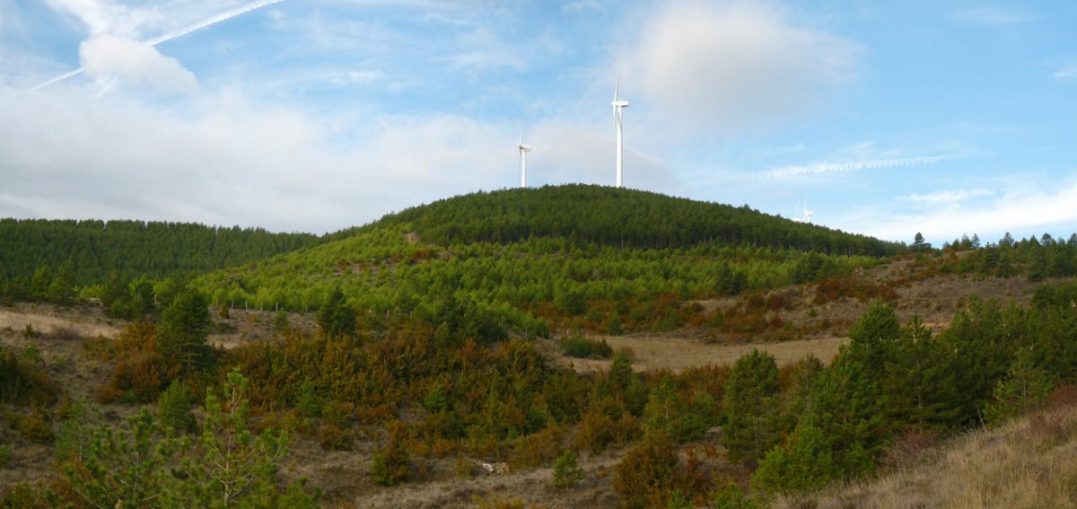 Olatz mendia Oibarko mendatetik