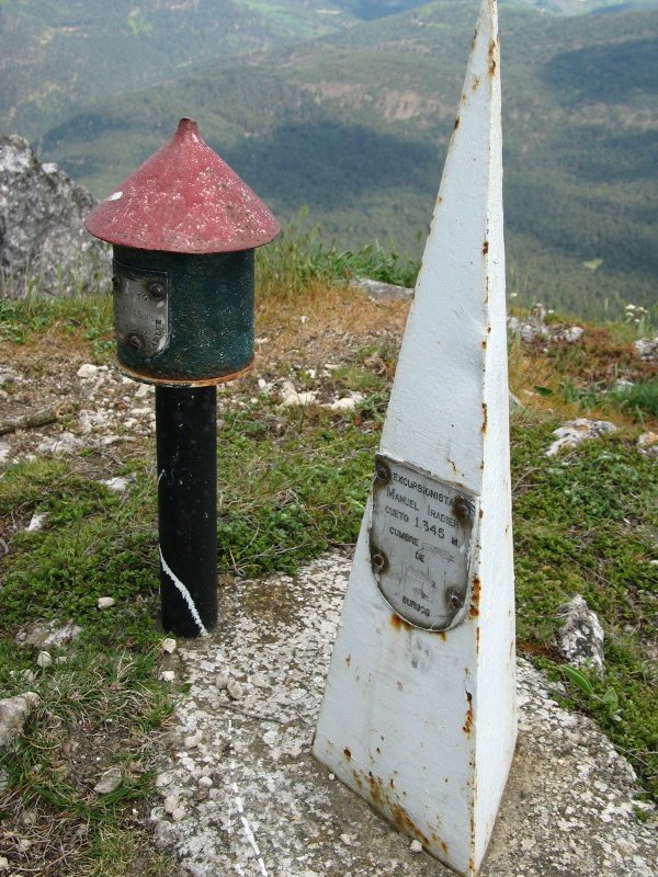 Buzoia