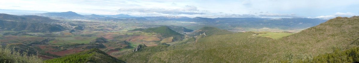 Lizarreria Igustetik