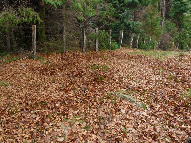 Agatungo Lepoa, orbelak ia ezkutaturik