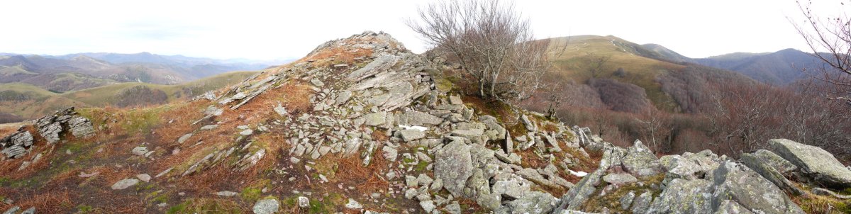 Tontorra eta inguruak