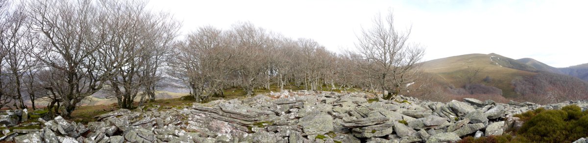 Tontorraren inguruko harritza