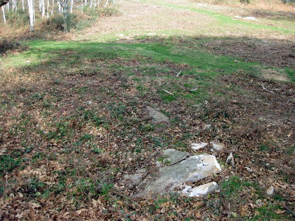 Arlauza puskaturik 1