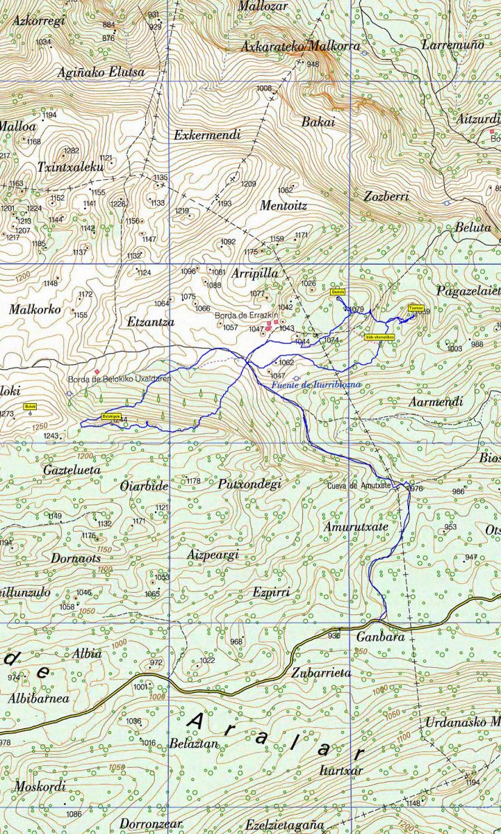 Txurtxur-Gaztelu-Belokigain 