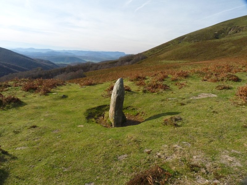 Bagazelaiko zutarria