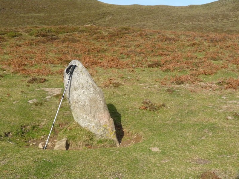 Bagazelaiko zutarria