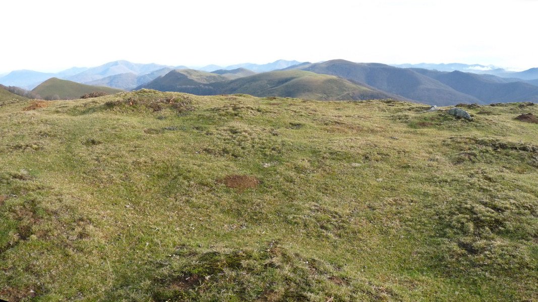 Sagardegiko lepoko harrespilak