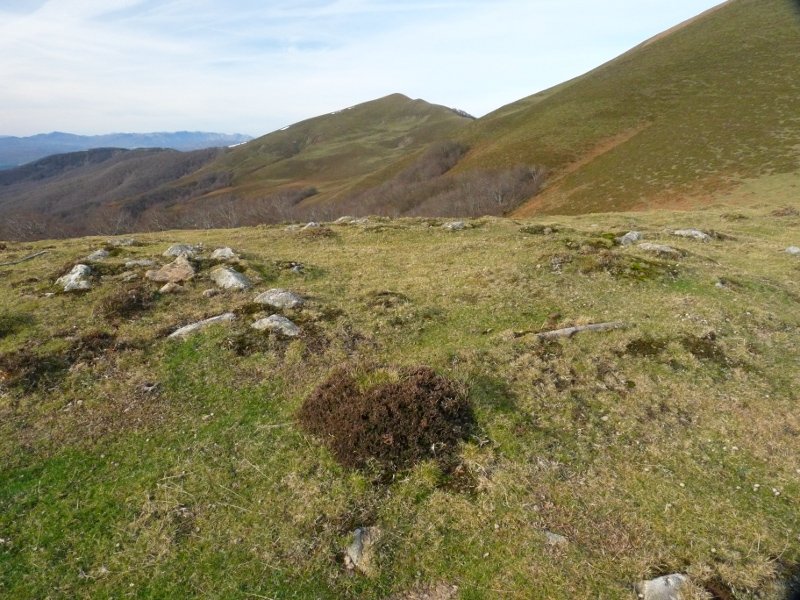 Sagardegiko lepoko harrespilak