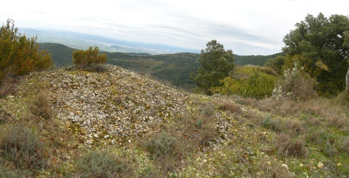 Aritzdigorriko gailurra