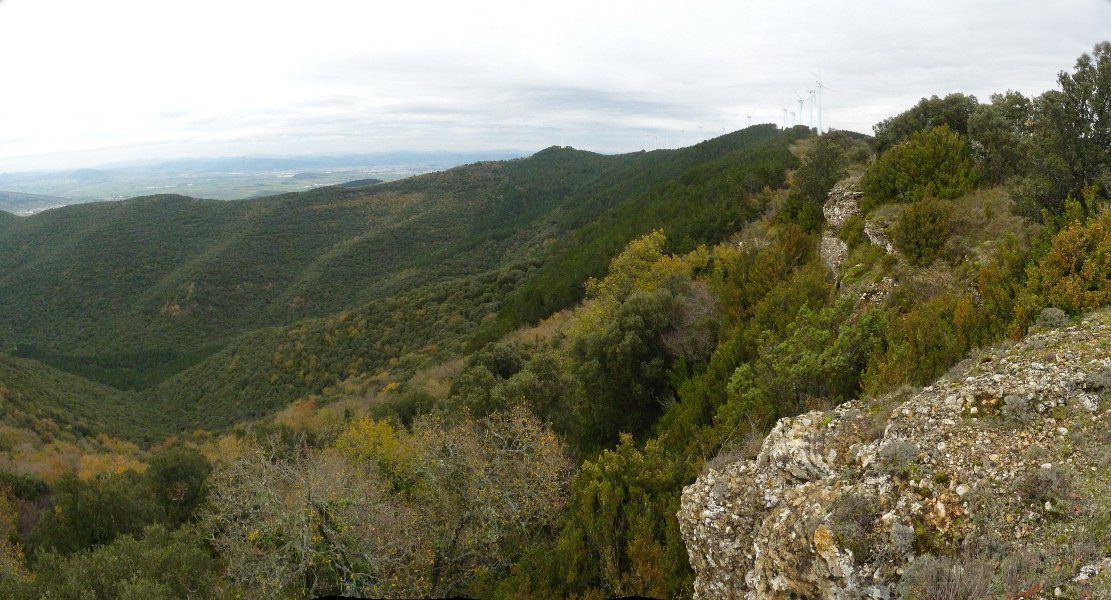 Aritzdigorriko gailurra