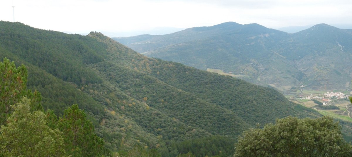 Aritzdigorri ekialdetik