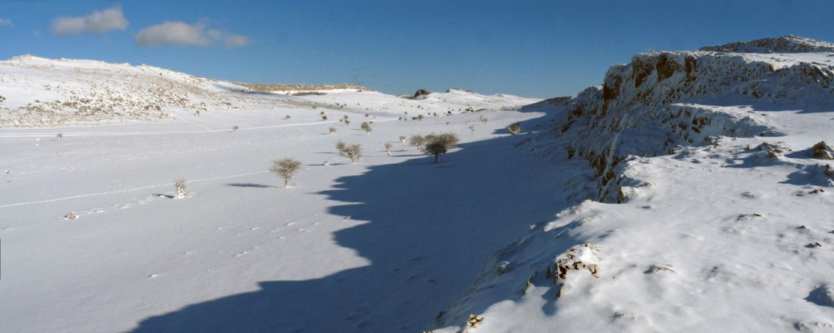 Andiako larre zabalak Dorrokotekako malkarretatik