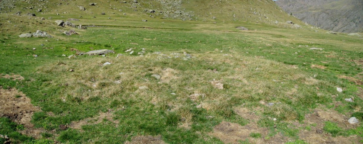 La Rinconada tumulua