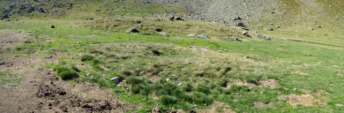 La Rinconada tumulua