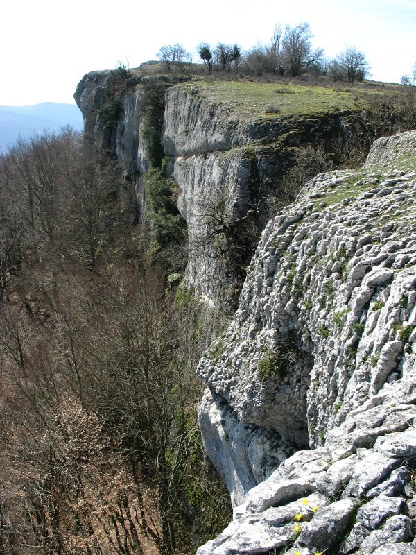 Ekialdeko gandorraren ikuspegia