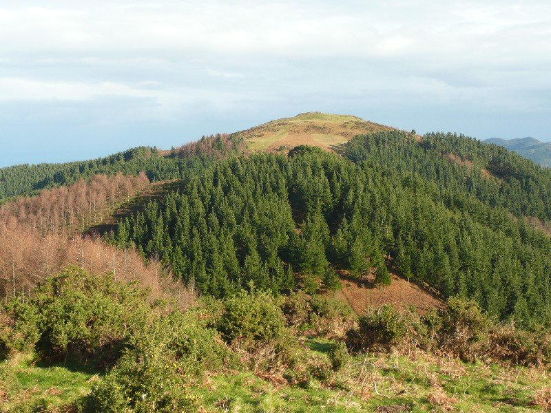 Akondia/Arrikurutzetik