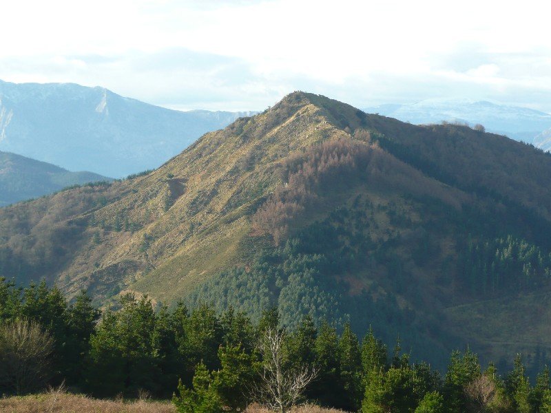 Akondia/Arrikurutzetik