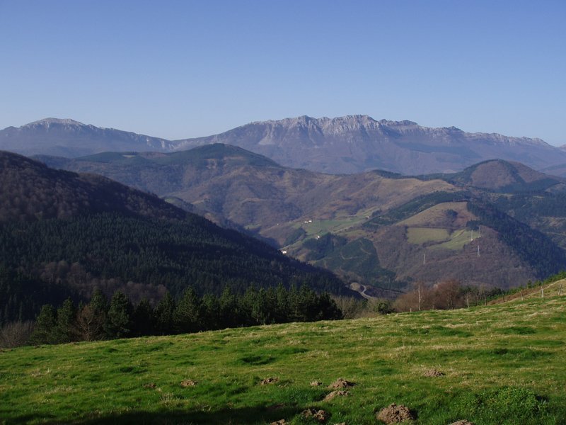 Aizkorriko gandorrak Dorrontsorogainetik