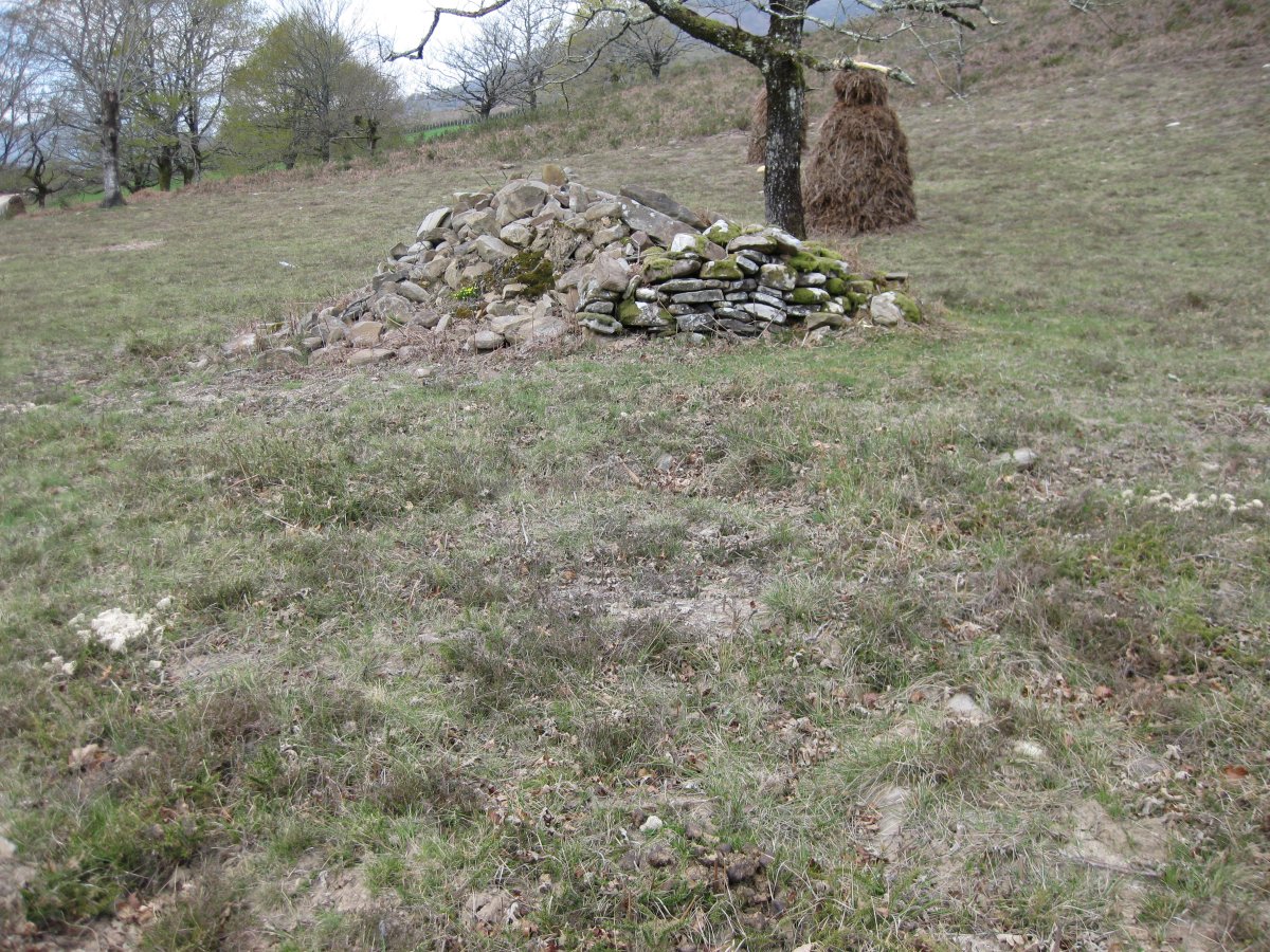 Arrutala 2009ko Apirilaren 6an