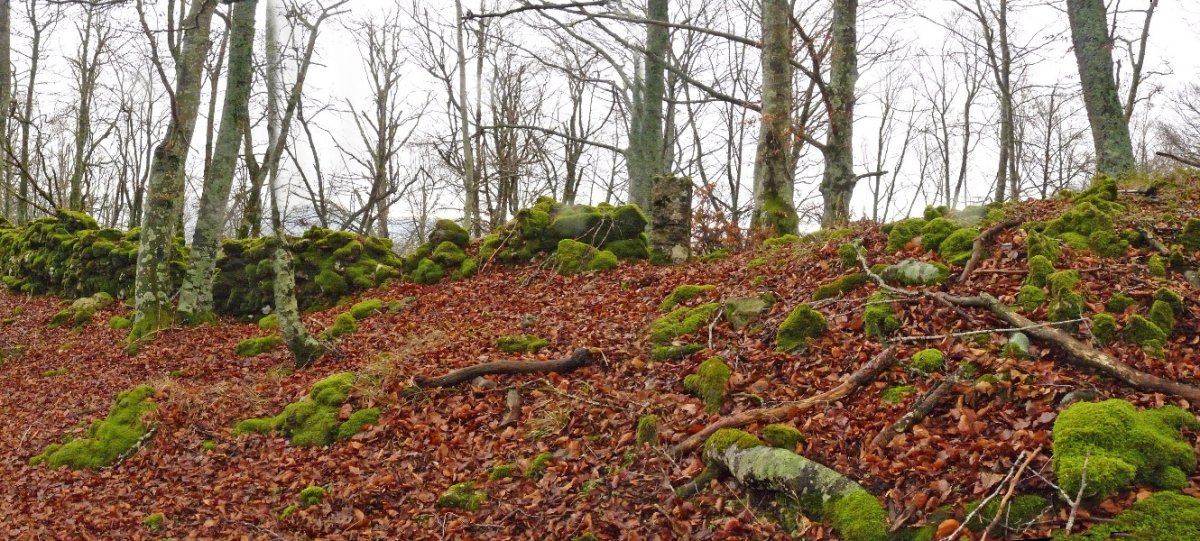 Serlo Gaineko gailurra