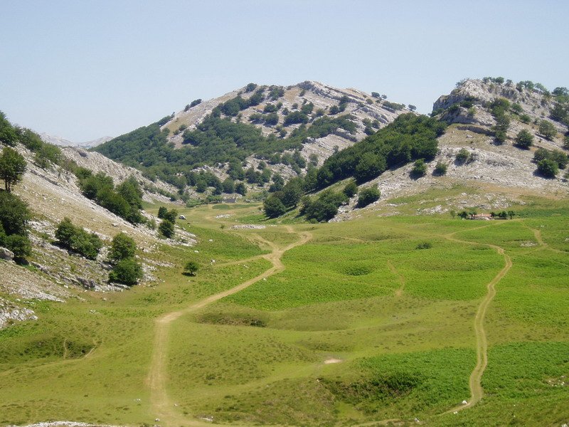 Degurixa eta Andarto