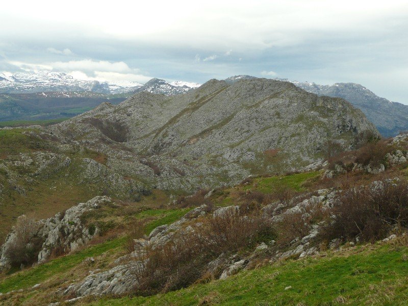 El Mazora Doan Bidetik