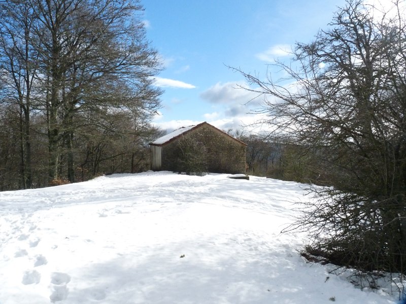 San Migelgo baseliza, Goñin