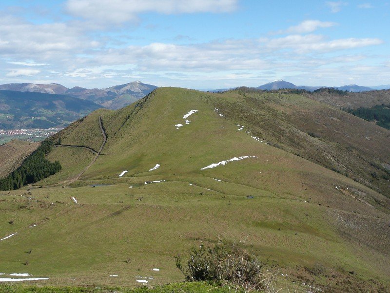 Espaldaseca Trasmosomosetik