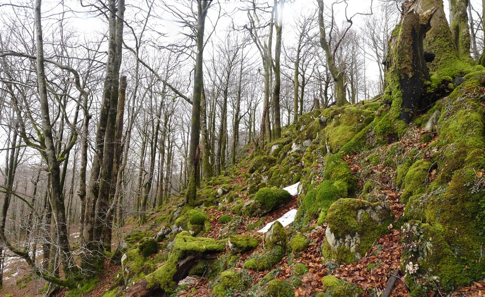 Loiaundi inguruko pagadia