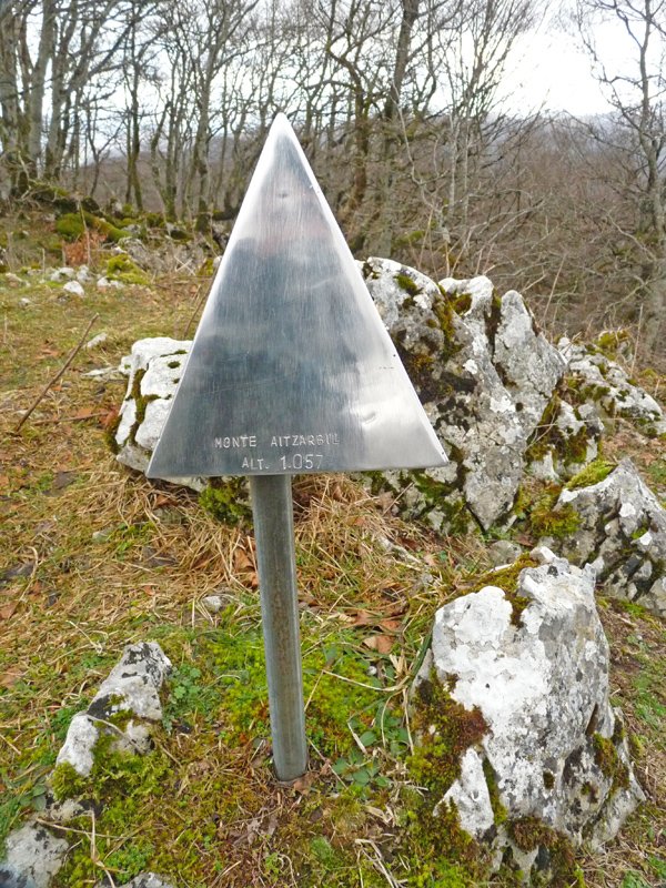 Aizarbilgo txartelontzia