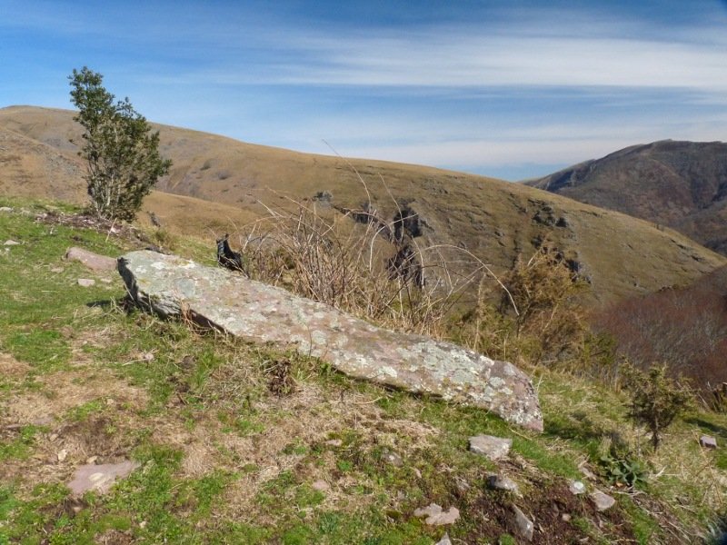 Intzipideko lepoko zutarria