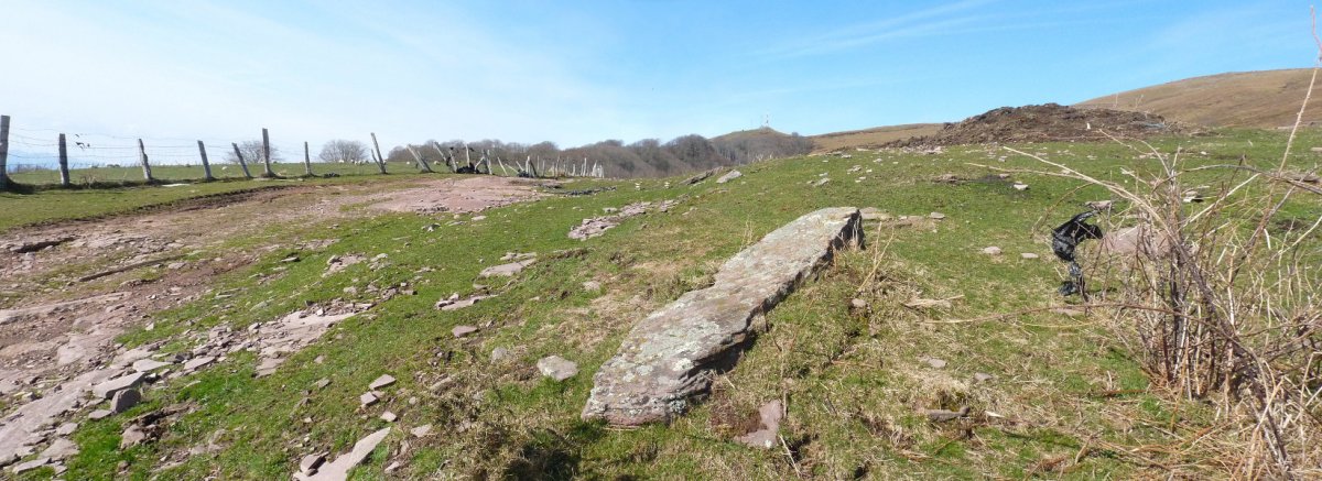 Intzipideko lepoko zutarria