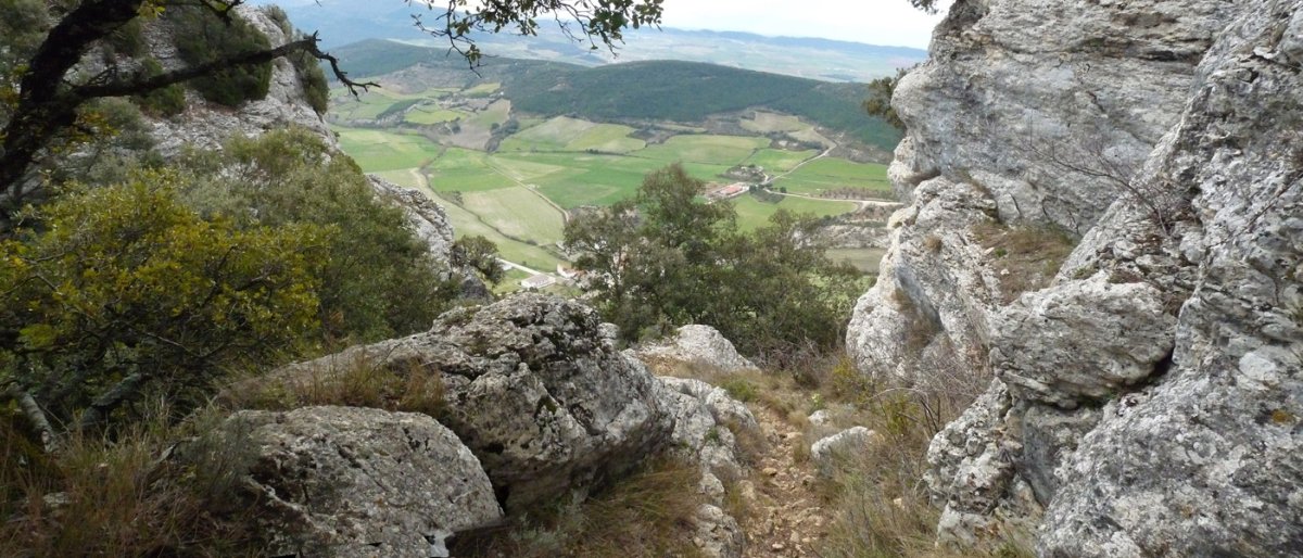 Ollobarrengo bide zoragarria