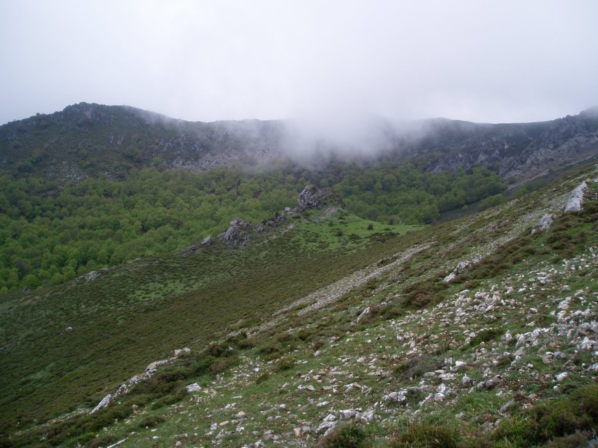 Umion hego-mendebaldeko pagadia