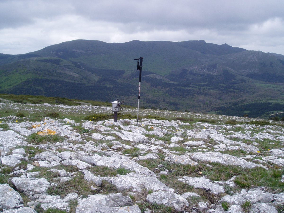 Mancubo tontorretik Verdina, Buey, ...