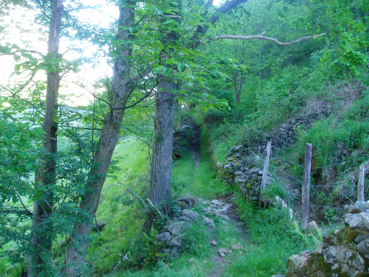 Bidea Asonetik Socuevara