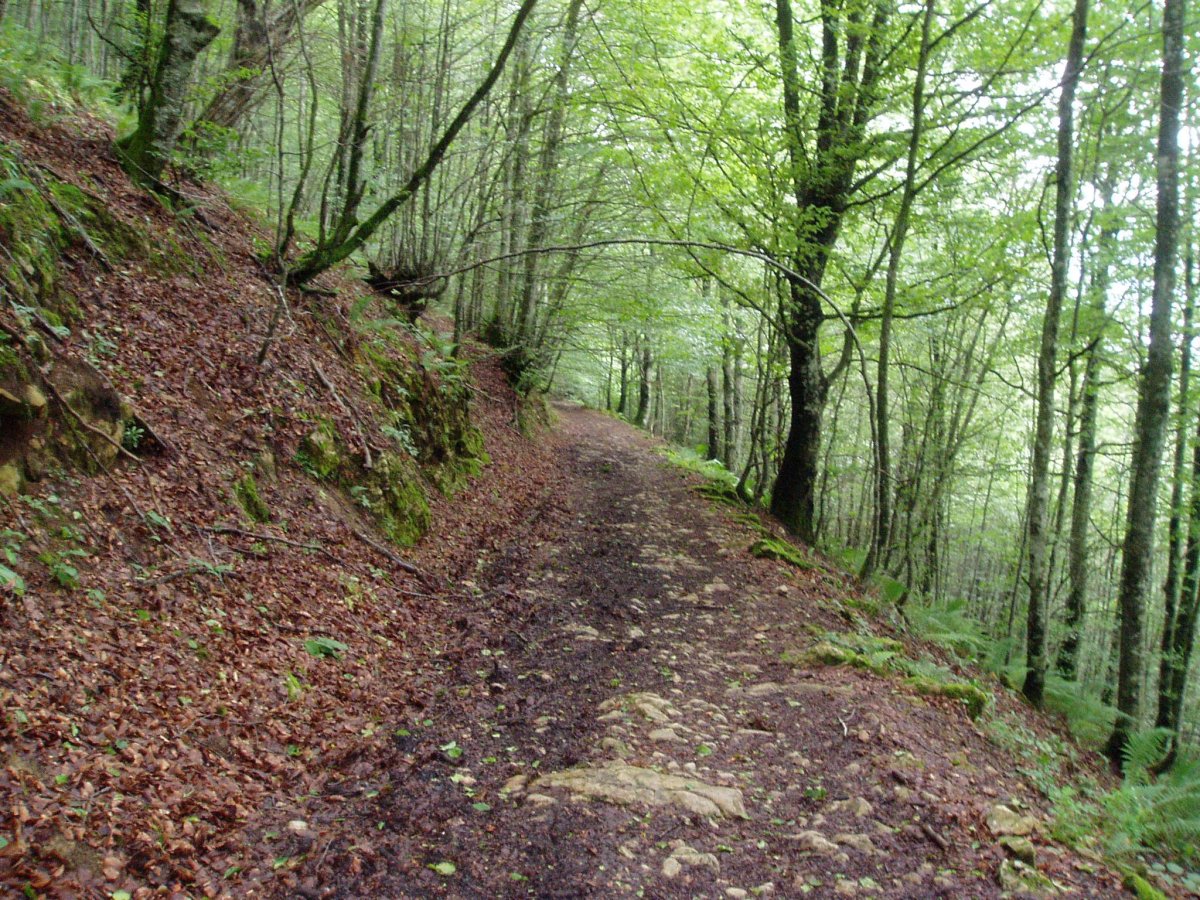 Urdianeko Portuako bidea