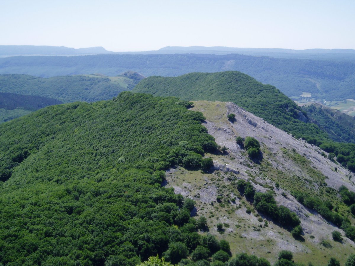 Imelekutik allaitz eta Umandia