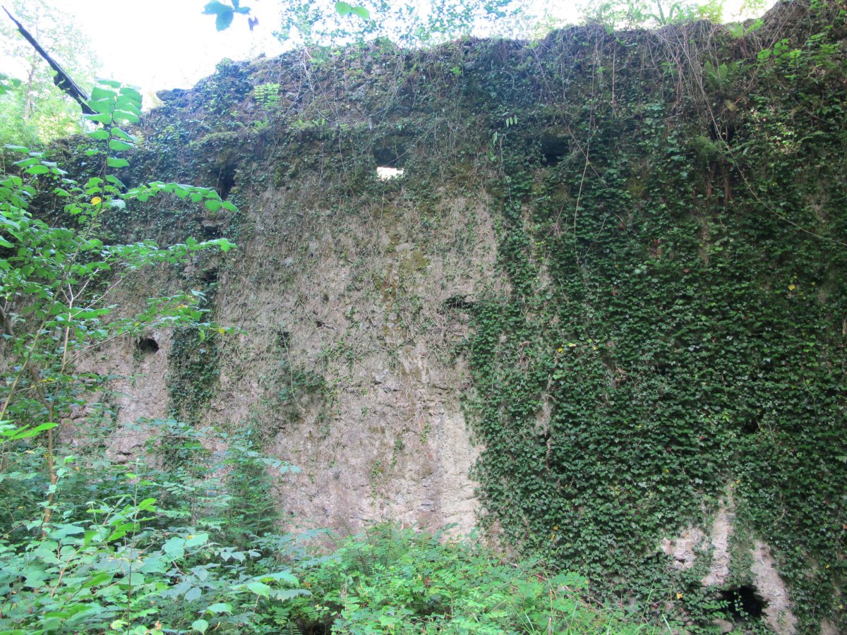 Olazar burdinolaren hondakinak, Larraul