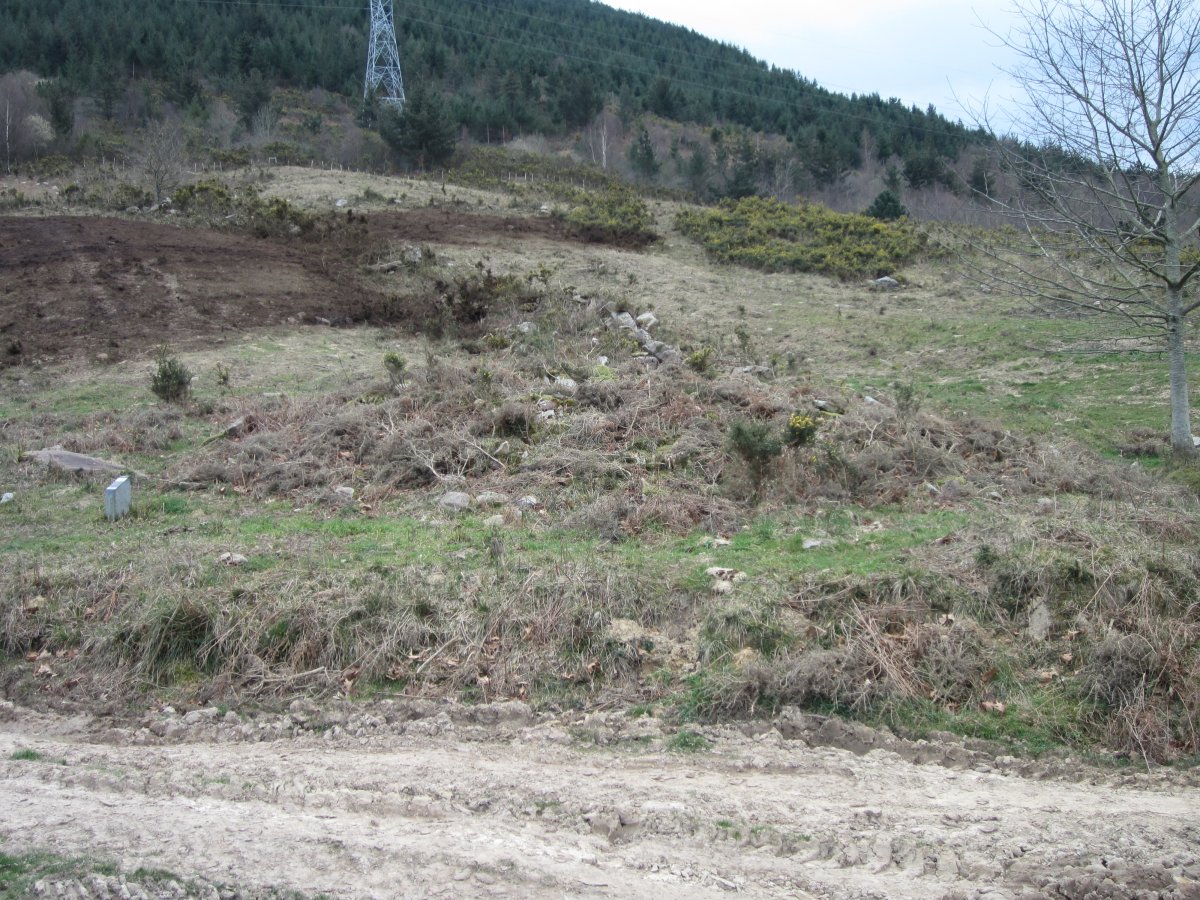 Dólmen Landarbaso VI    03 -2013