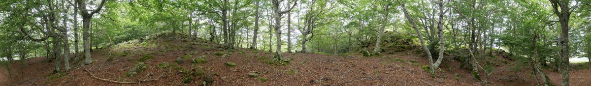 Tontorraren inguruak, 360ºko panoramika