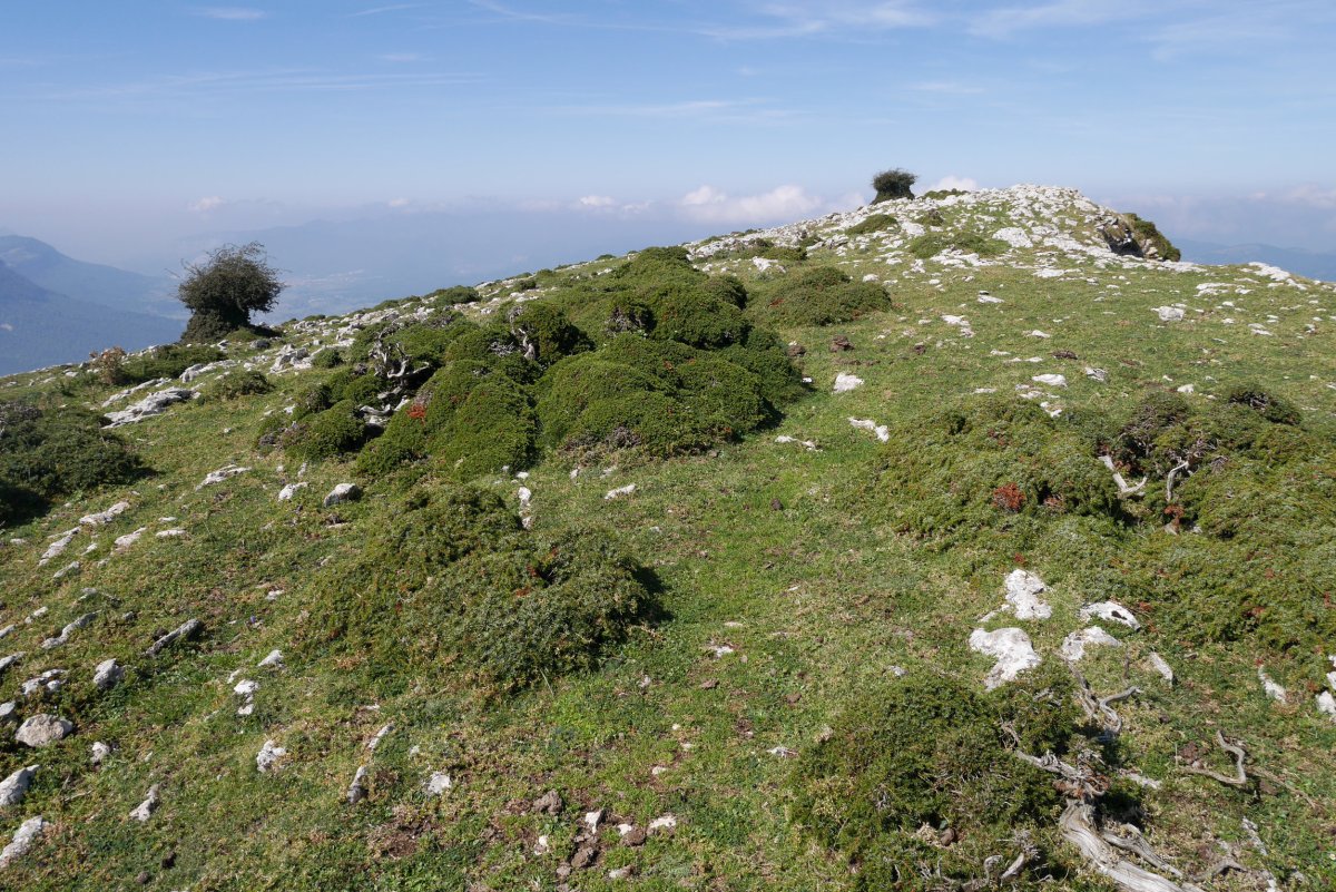Ipuruaren gatazkak Ihurbain aldeko eremuan