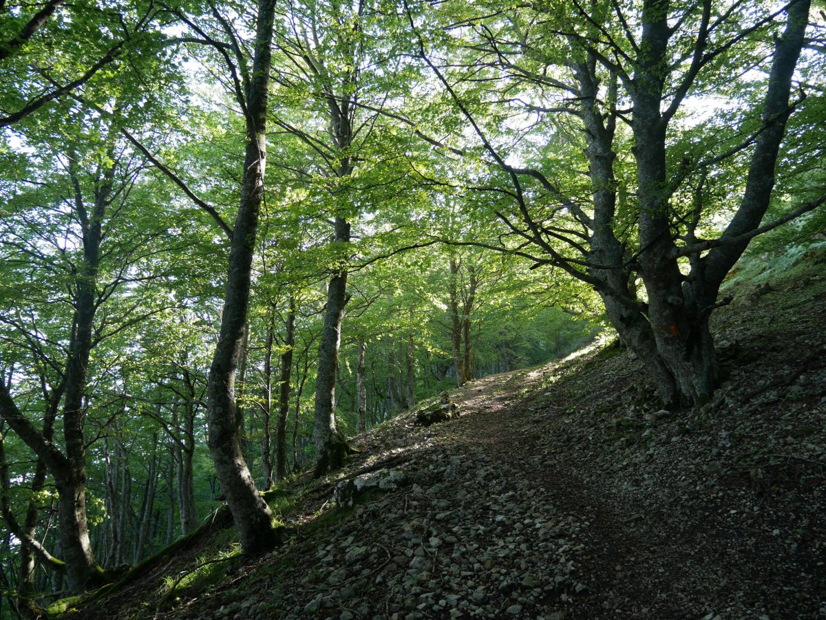 Atauko mendateko igoera