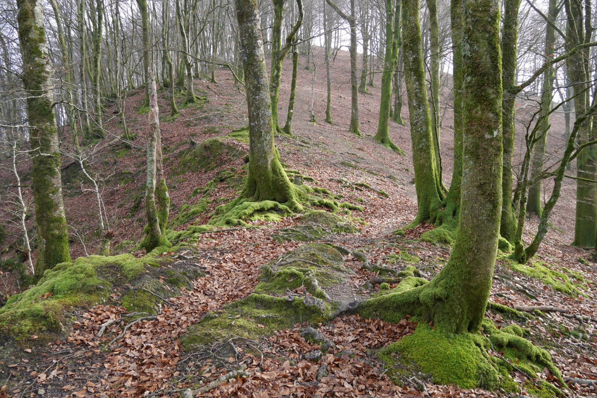 Oberango gainera igotzeko azken txanpa