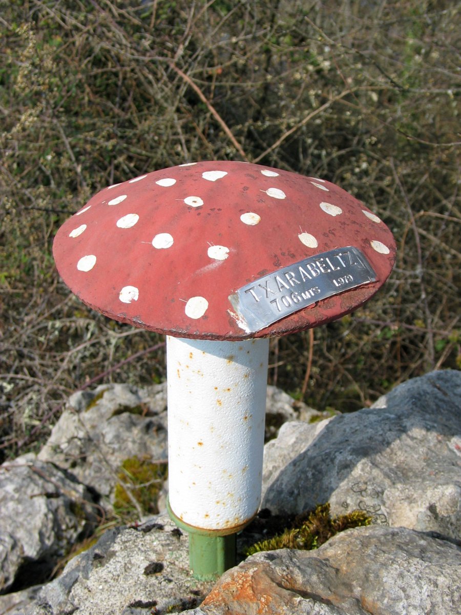 Txartelontzia