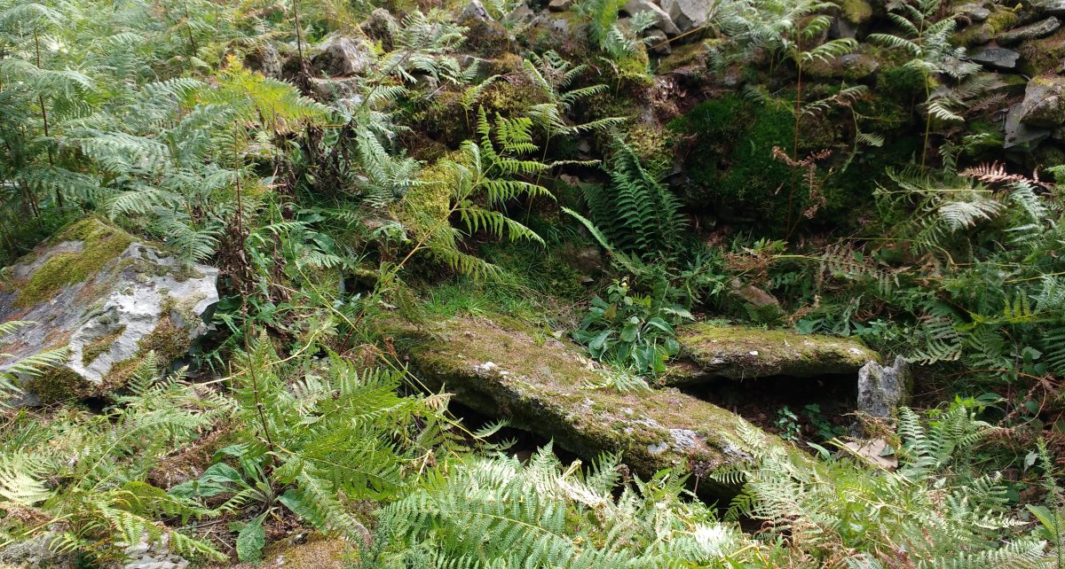 Aitzpuruko Zabala Trikuharria 4